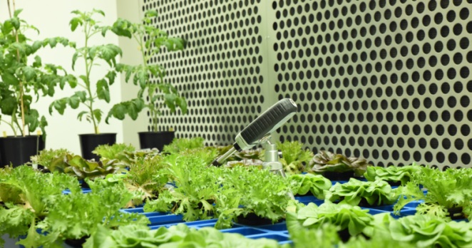 植物生長室